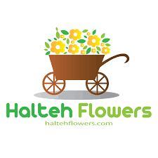 Halteh Flowers 